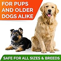 Vista 7 de StrellaLab Pastillas de aceite de pescado Omega 3 para perros (180 unidades) – Cápsulas blandas sin olor a pescado – EPA + DHA ácidos grasos reducen