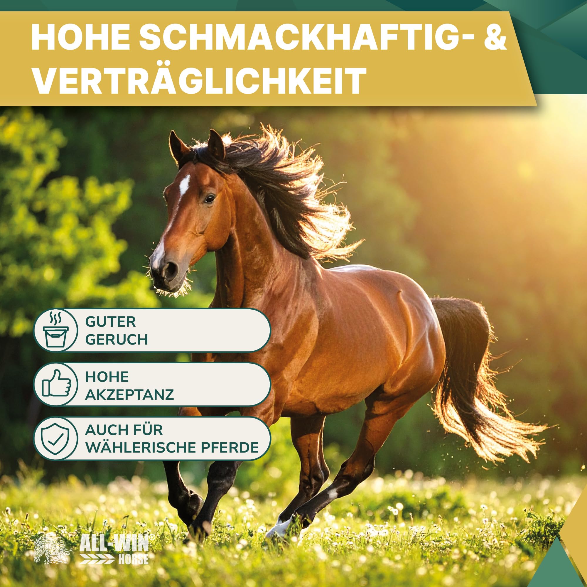ALL-WIN Horse Mucosal Care 15 kg | Getreidefreies Pferdefutter ohne Zuckerzusatz | Pferdemüsli mit Meeresalgen & Aminosäuren | Für magenempfindliche Pferde & gesunde Verdauung