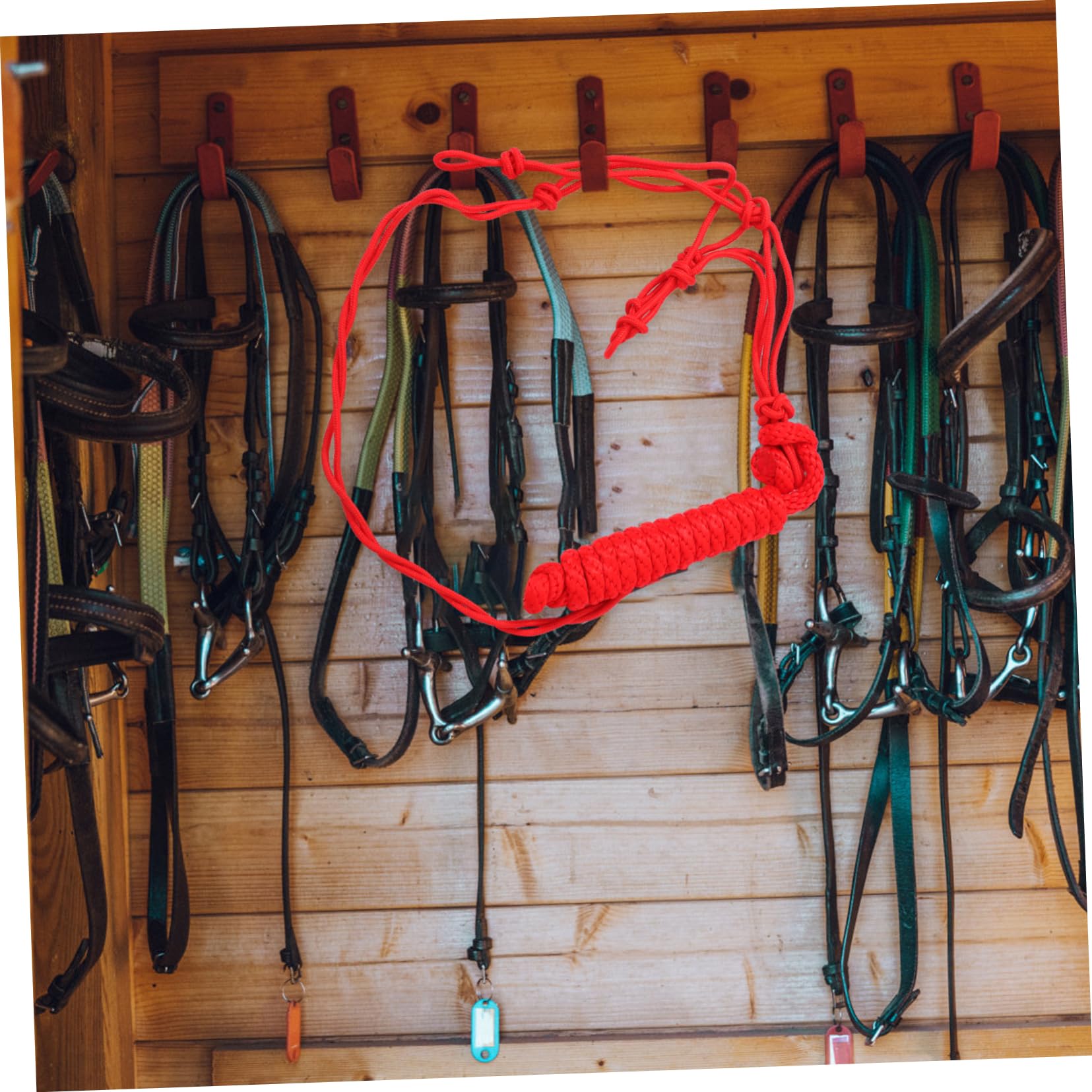 Cabestro para Caballos Rojo de Poliéster, Portátil y Fácil de Guardar | Equipo de Entrenamiento Ecuestre, Cabezada Trenzada de Uso Práctico, Suministro para Montar
