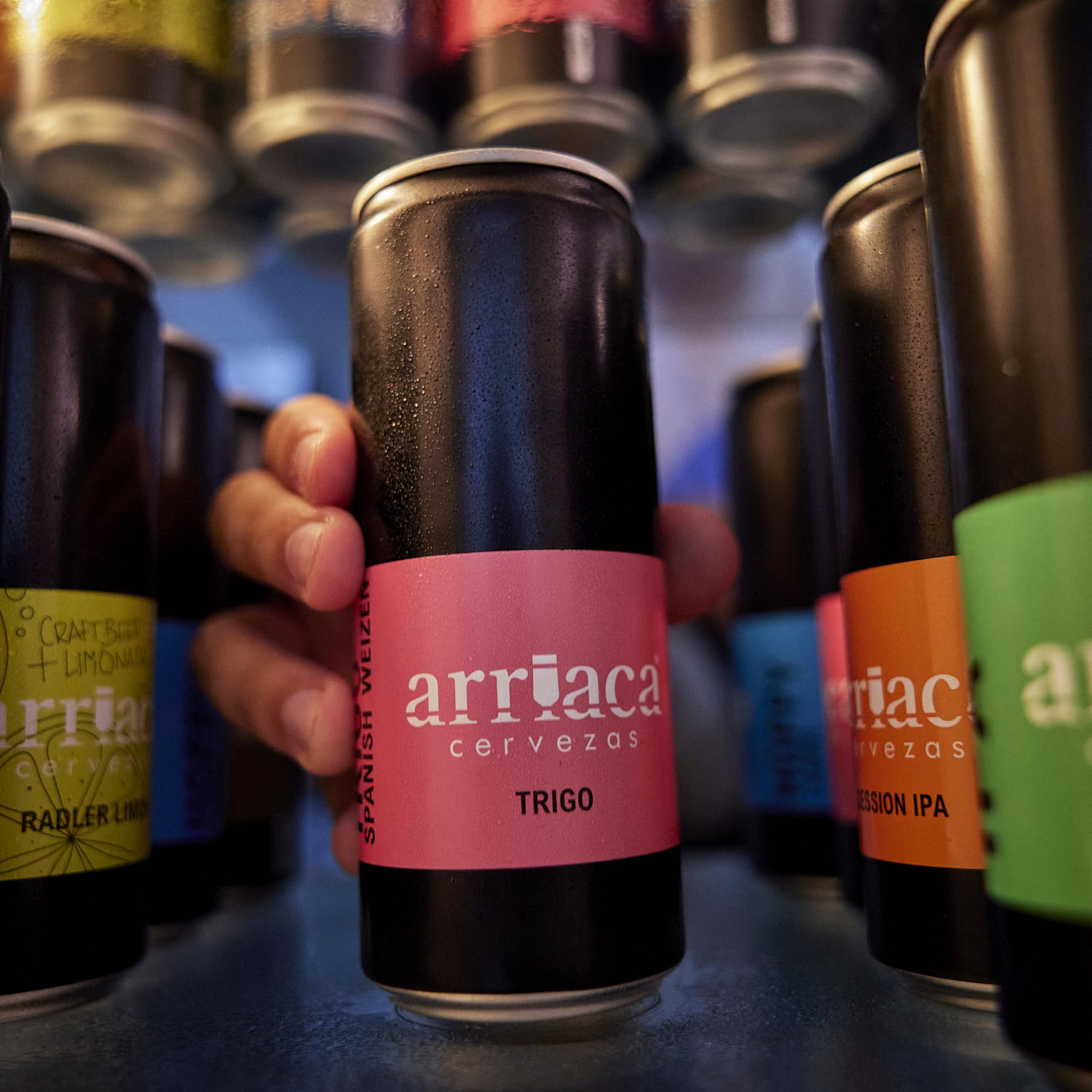 Cerveza Premium Arriaca TRIGO en Pack Fabricación Artesanal. Premio a la Mejor Cerveza Trigo Artesana (24 latas 33cl)
