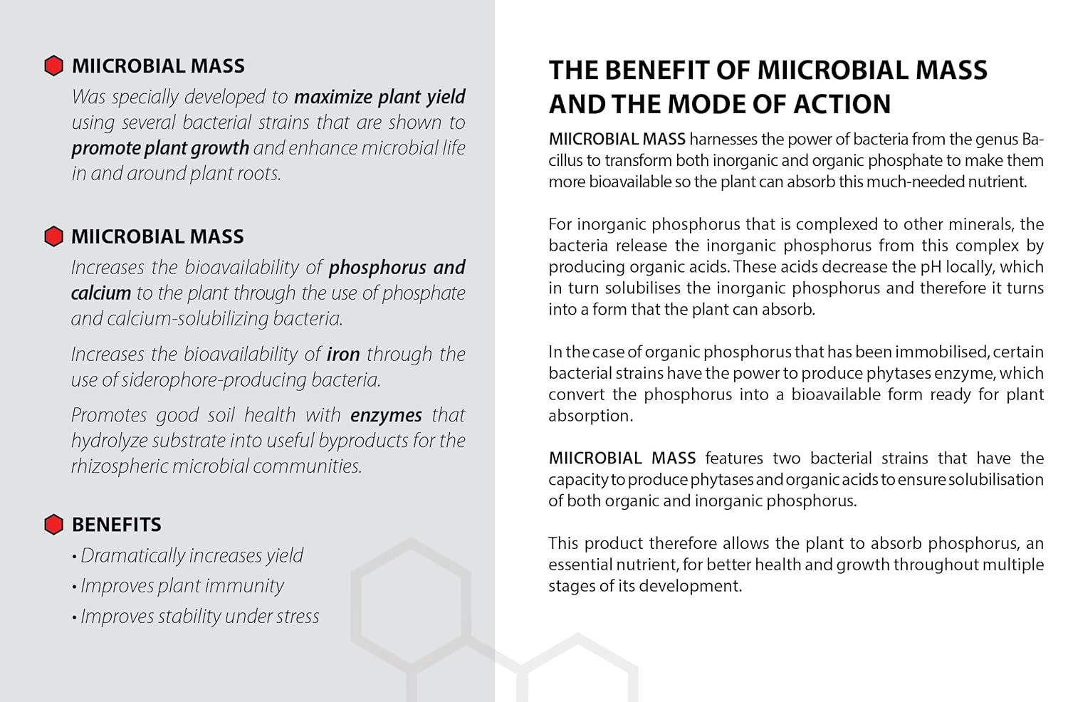 Microbial Mass Pro 250 ml Beneficial Bacteria additive