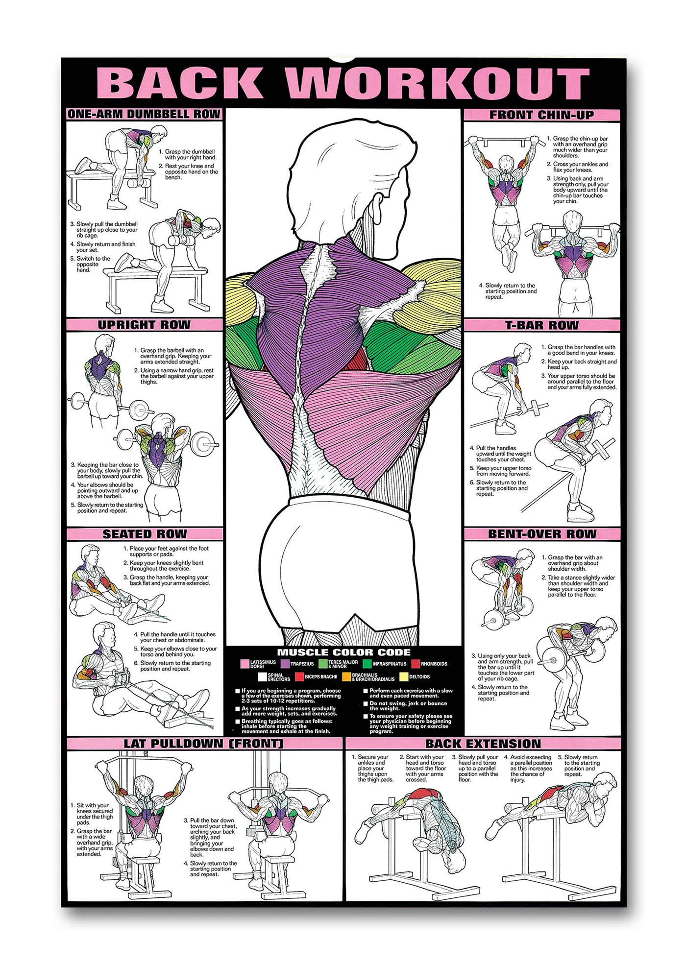 Tamatina Gym Posters | Workout Posters | Motivational Posters |Posters for Gym Wall | Gym Posters Size – 18 inches x 12 inches (45 cms x 30 cms) Exercise Posters - GP11 (B0867FPCJH) Amazon Price History, Amazon Price Tracker