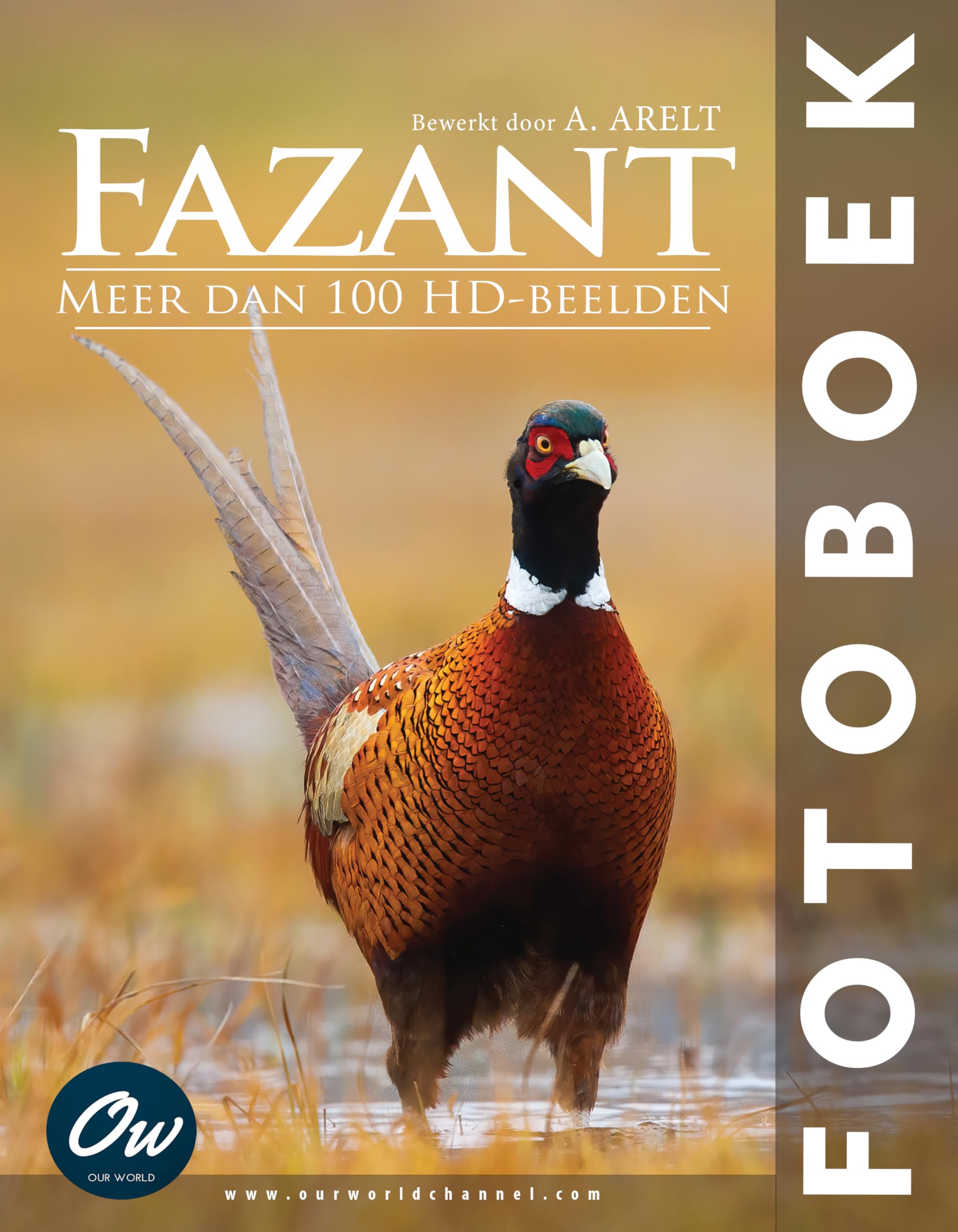 Fazant livre photo de nature pour décorer votre salon avec élégance