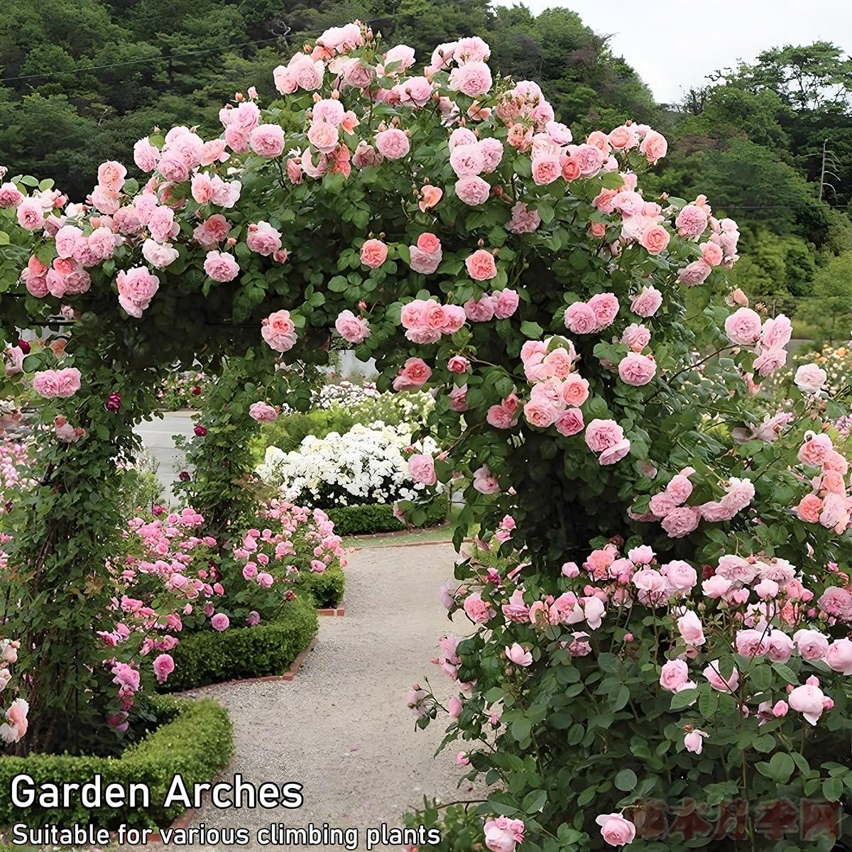 Arco per rose in metallo per piante rampicanti, traliccio da giardino, arco per matrimonio, 80 x 200 x 120 x 220 x 180 x 220 cm, 240 x 220 cm, 300 x 220 cm, marrone, 280 x 250 cm.