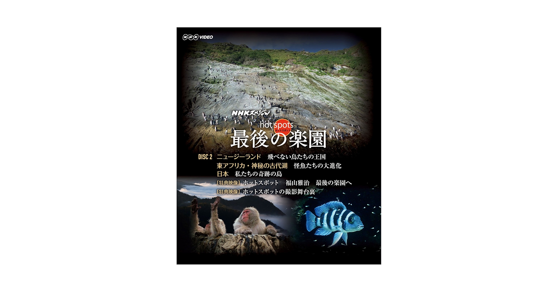 Z125【新品】NHK ホットスポット 最後の楽園 DVD 91GfRunUzLL._AC_UL210_SR210,
