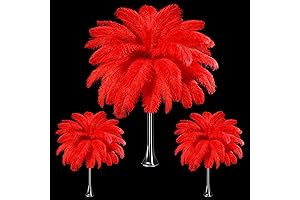 Maitys Natural Ostrich Feathers, 90 Pcs Red Feathers Bulk for Centerpieces and Wedding Decorations