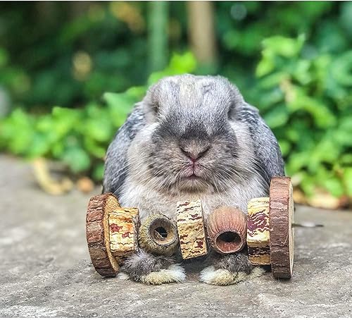 Miniatura 4 de Exotic Nutrition Native Dumbbell - Jaula de madera natural para masticar, accesorio para conejos, cobayas, chinchillas, hámsters, ratas, ratones,