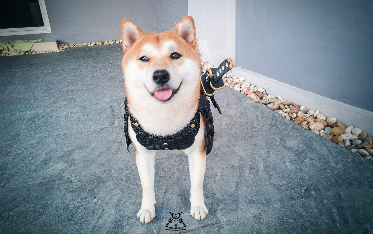 HOT! Made-to-Order Japanese Style Handmade Dog Costumes Samurai Armor for Dog Fashion Cosplay for Medium Dog Made from Genuine Leather (M, Black)