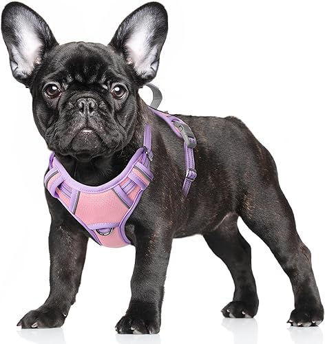 Miniatura 30 de BARKBAY - Arnés sin tirones para perro, reflectante, con clip frontal y asa de fácil control para entrenamiento, paseos y correr, con bolsillo