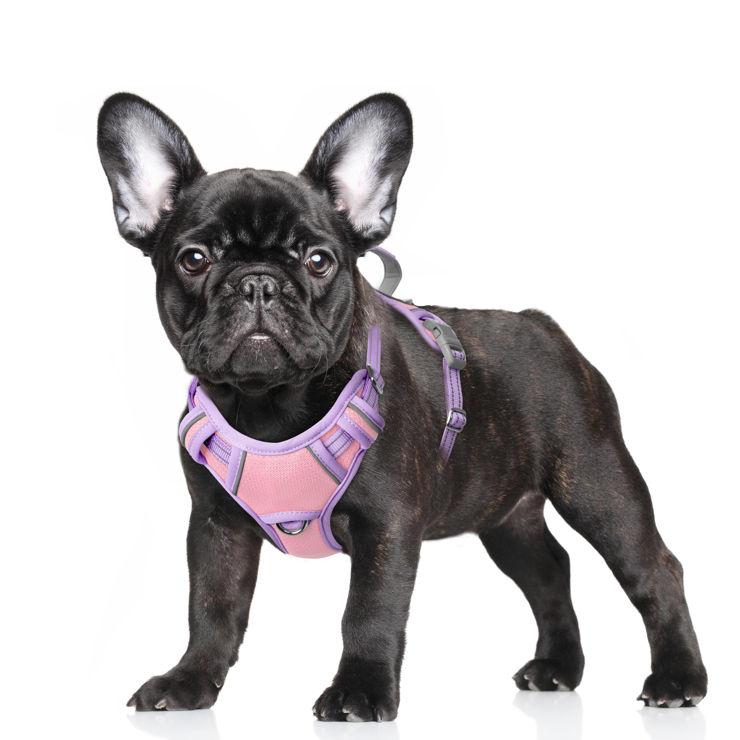 BARKBAY No Pull Dog Harness Large Reflective Dog Harness with Front Clip and Easy Control Handle for Walking Training Running with ID tag Pocket(Baby Pink & Violet Purple,S)