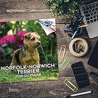 Vista 150 de Razas de Perros 2017