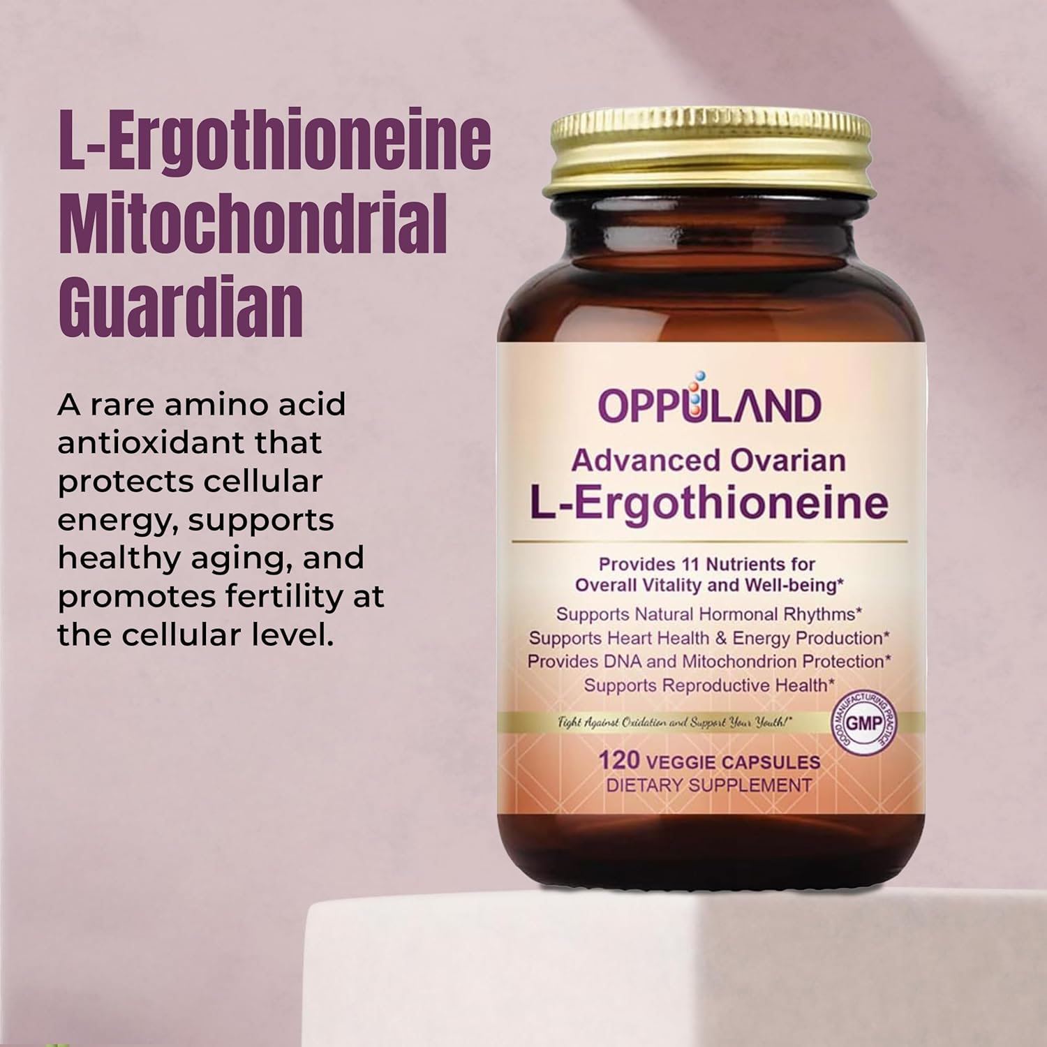 L-Ergothioneine Supplement for Women – Advanced Ovarian Support with Inositol, CoQ10, Vitex, and Multivitamins – Supports Fertility, Ovulation, Hormone Balance – 60 Servings
