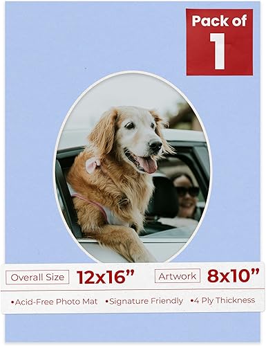 Tapete de 12 x 16 pulgadas con corte biselado para fotos de 8 x 10 pulgadas, color azul claro precortado, con apertura de tablero ovalado, sin