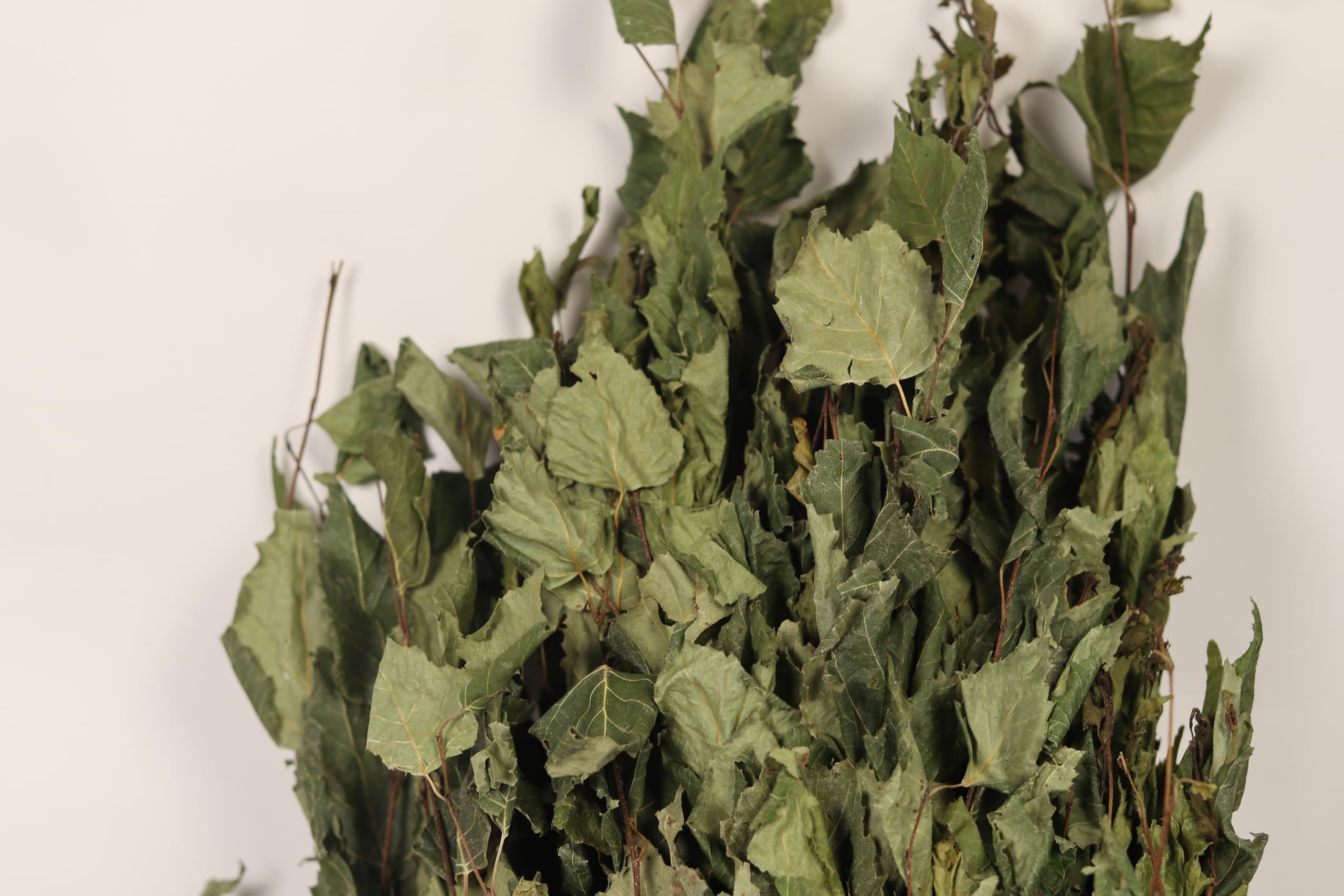 Juego de 5 escobas de sauna de abedul, auténtica experiencia de sauna con fragancia natural