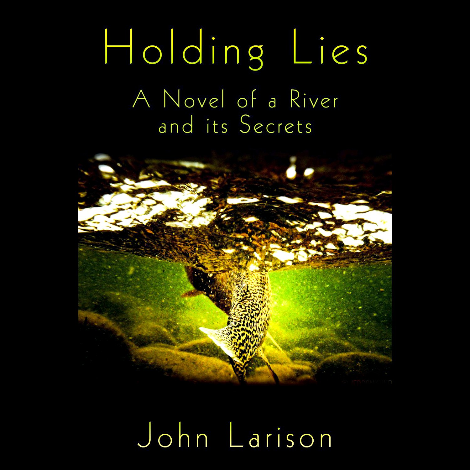 Cover art for Holding Lies