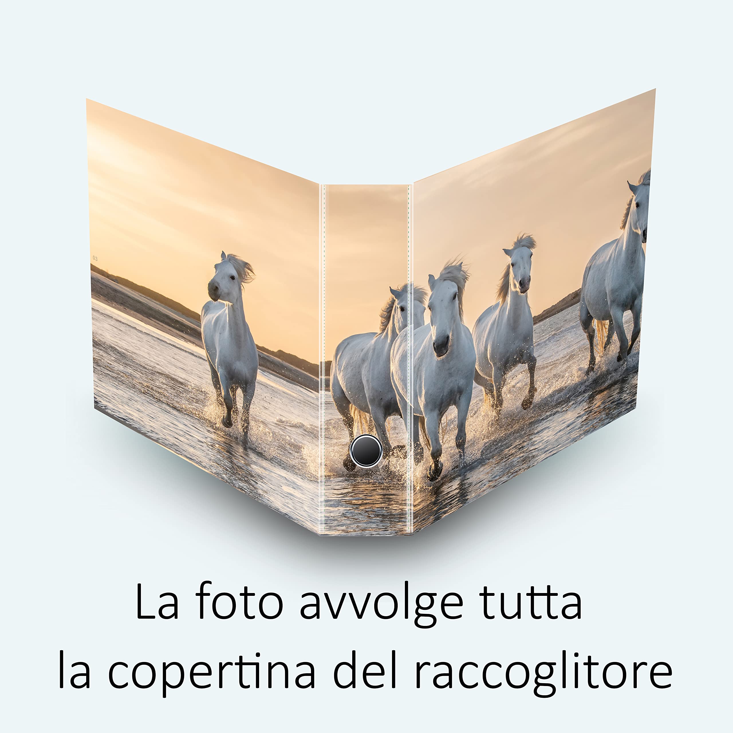 Set da 7 raccoglitori ad anelli CAVALLI - Faldoni SHAREPRINTING (H34 con 4 anelli)