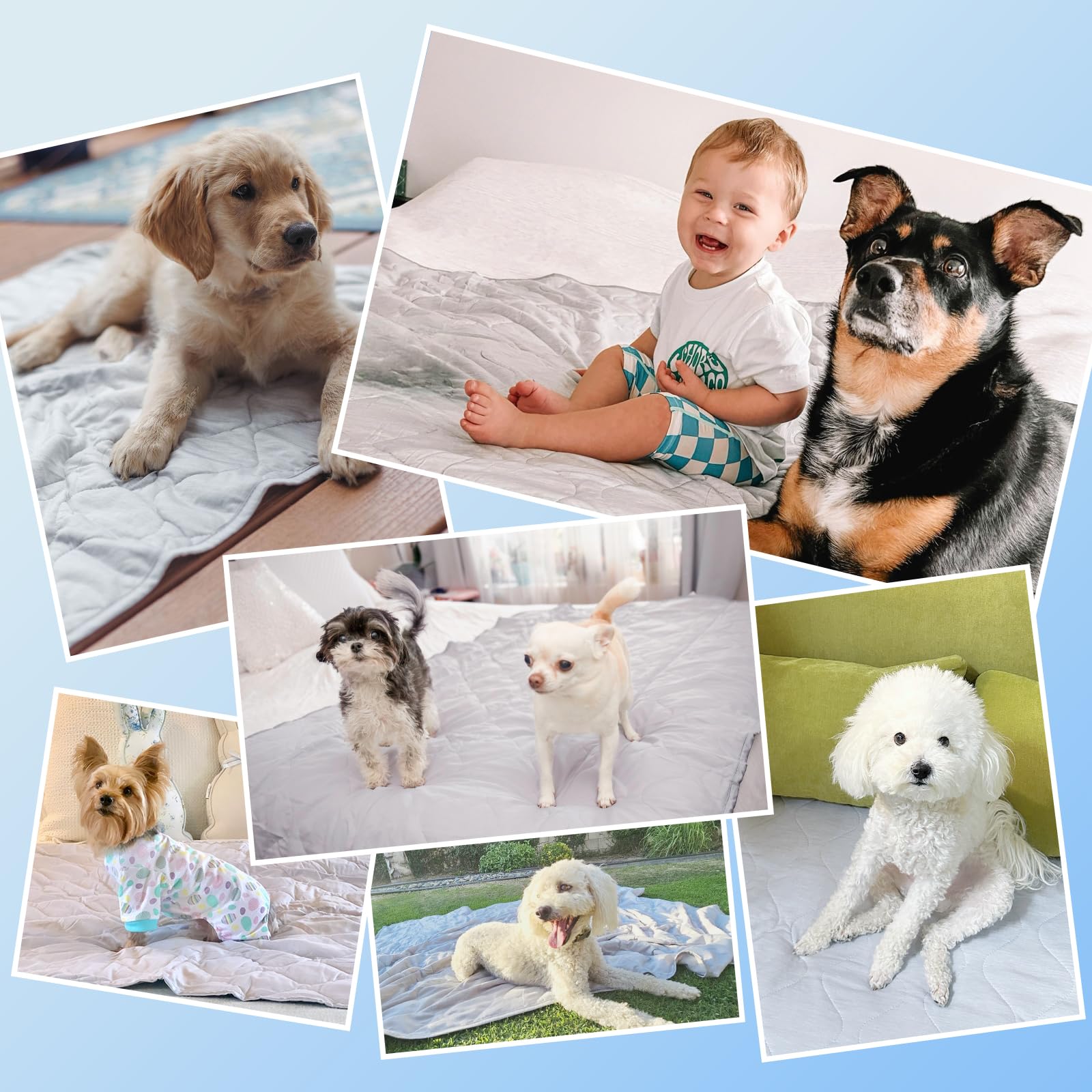 Rywell Coperta rinfrescante per cani, 153 x 101 cm, tappetino rinfrescante per cani Q-Max > 0,5, superfici di raffreddamento e cotone per tutte le stagioni, tappetino rinfrescante per cani, coperta