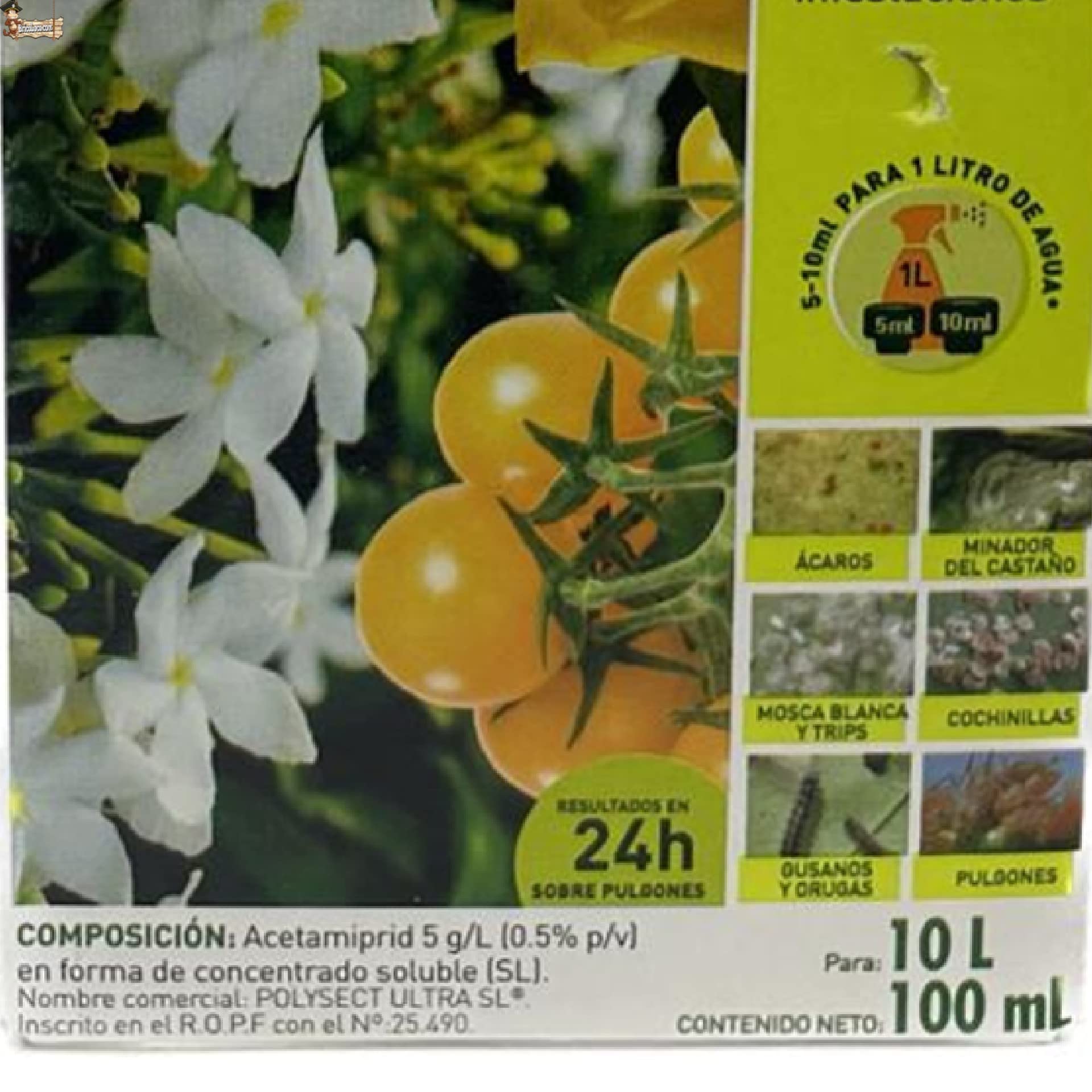 BricoLoco.com Insecticida sistémico Plantas Exterior. Acetamiprid 5g/l. ¡6x100 ml.! Polivalente contra pulgón, cochinilla, Mosca Blanca, Trips, ácaros. Efectos visibles en pulgones en 24 Horas. (6)