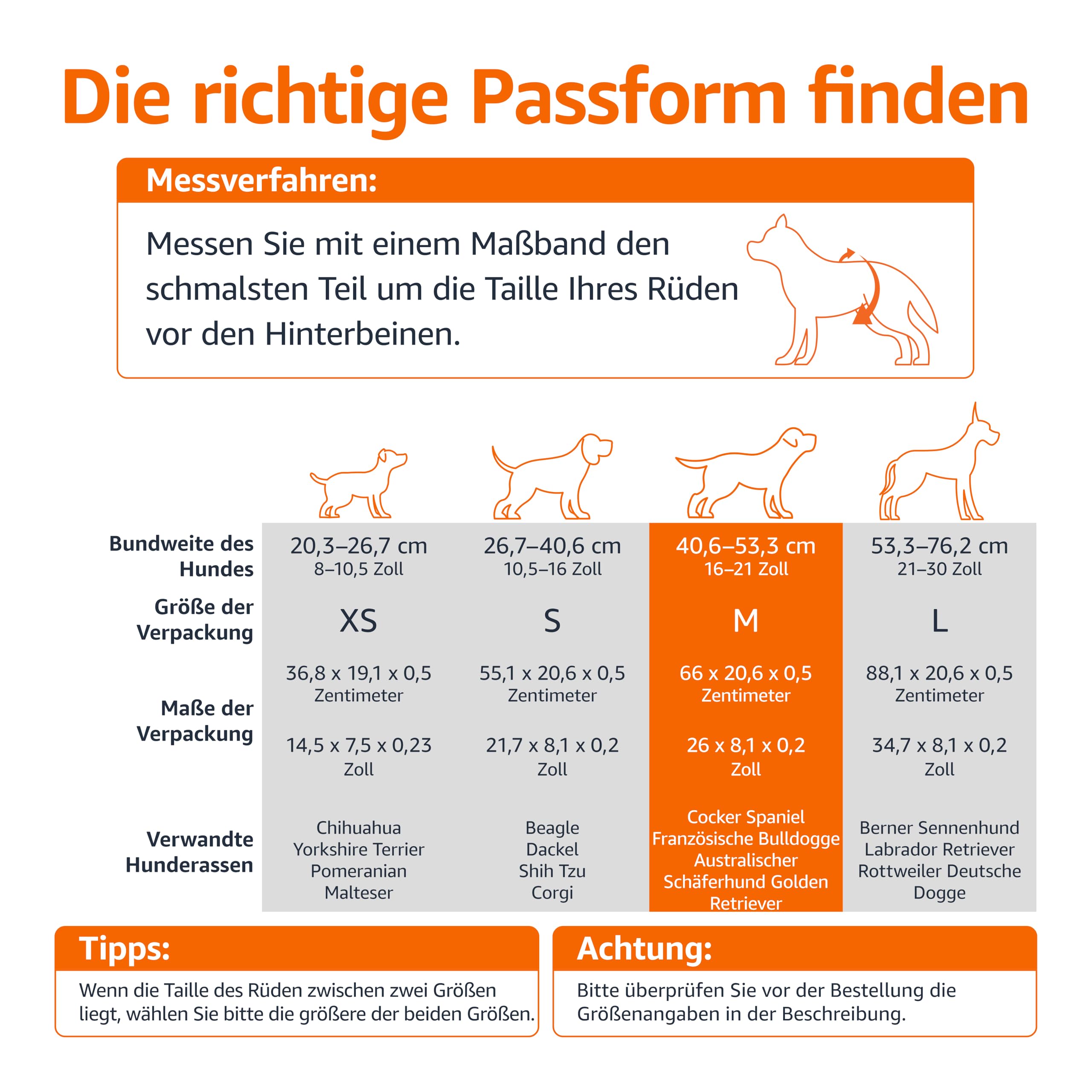 Amazon Basics Hundewindel für Rüden, Einwegwindeln, Größe M, Weiß, 30 Stück