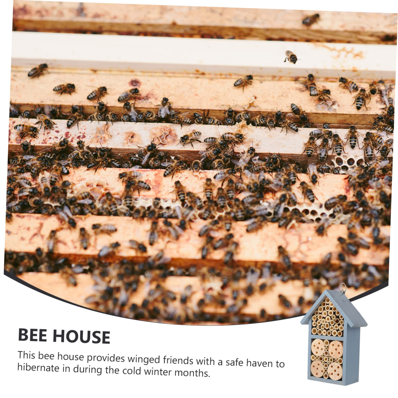 Levemolo Insektenhaus und Eisen mit Haken zum Aufhängen Dekoratives Bienenhotel für Garten und Draußen Bietet Winterschlafplatz für Bienen
