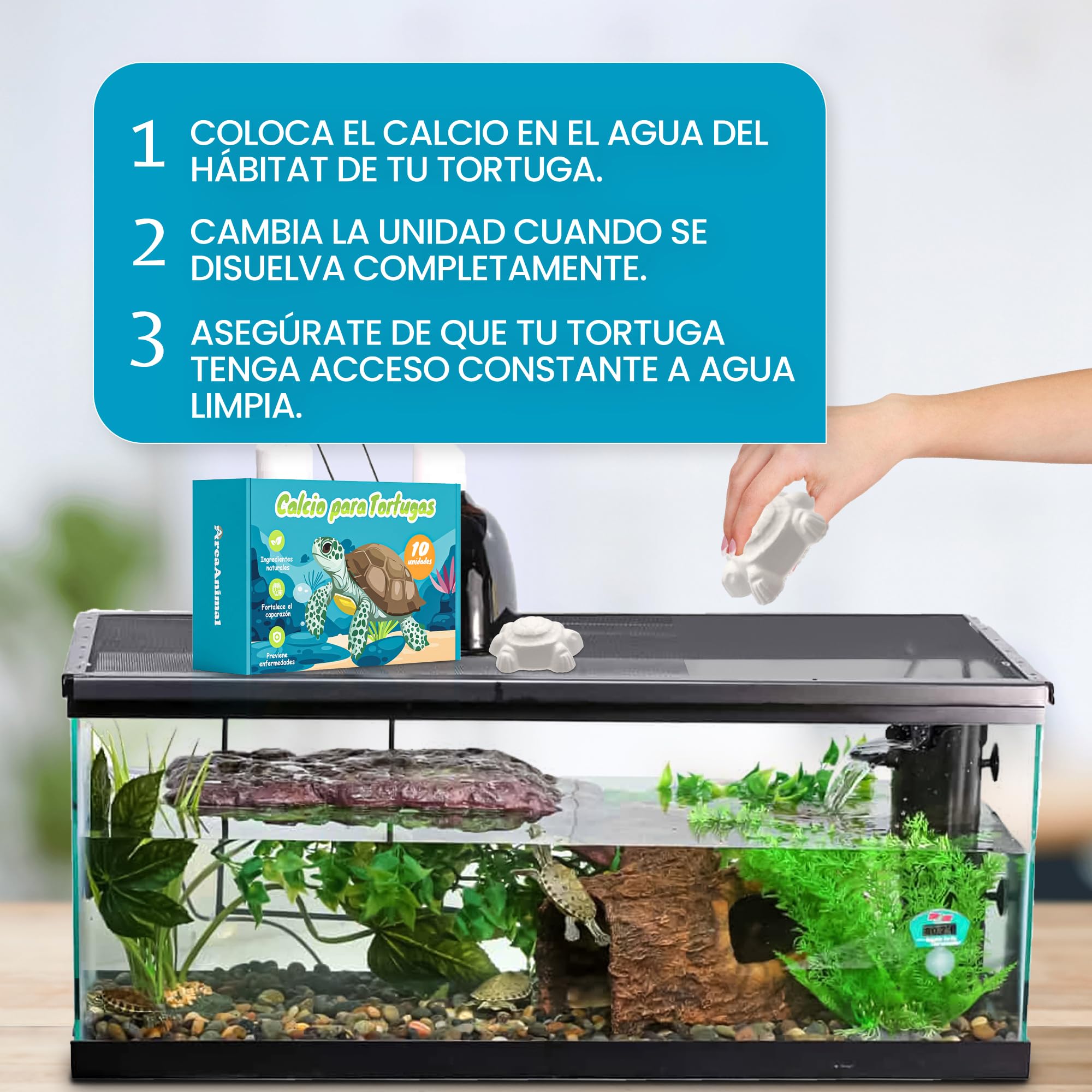 AreaAnimal - Calcio Tortugas de Agua, 10pcs Calcio para Tortugas de Agua con Liberación Lenta, Piedra Tortuga Que Fortalece el Caparazón y Mejora el Sistema Nervioso — view 5