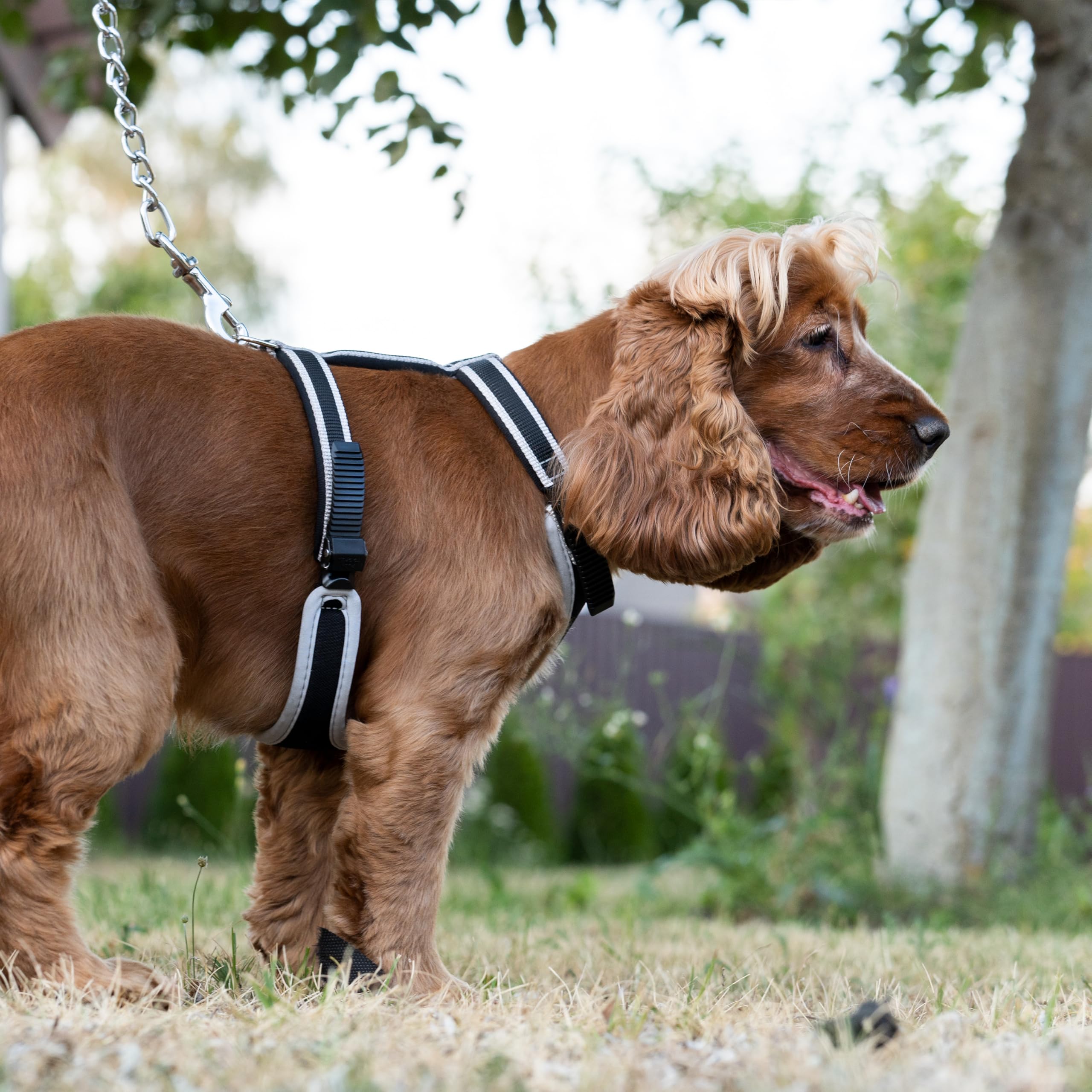 Ferplast Pettorina Cane Taglia Media ERGOCOMFORT Medium, Pettorina Cane Regolabile, Comoda, Imbottita, Chiusura a Doppia Microregolazione, Sgancio Rapido, Argento