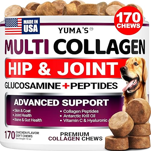 YUMA'S Advanced Collagen for Dogs - 170 Chews - Hip and Joint Supplement - Multi-Collagen Peptides - Skin & Coat Health, Cartilage & Mobility Support - Glucosamine, Vitamin C, Hyaluronic Acid