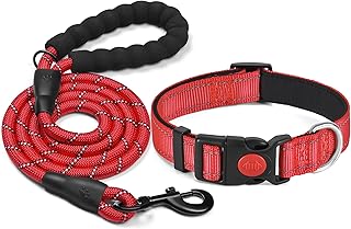 haapaw reflektierendes Hundehalsband gepolstert mit weichem Neopren atmungsaktiv einstellbar Nylon Hundehalsbänder für kleine mittlere große Hunde product image