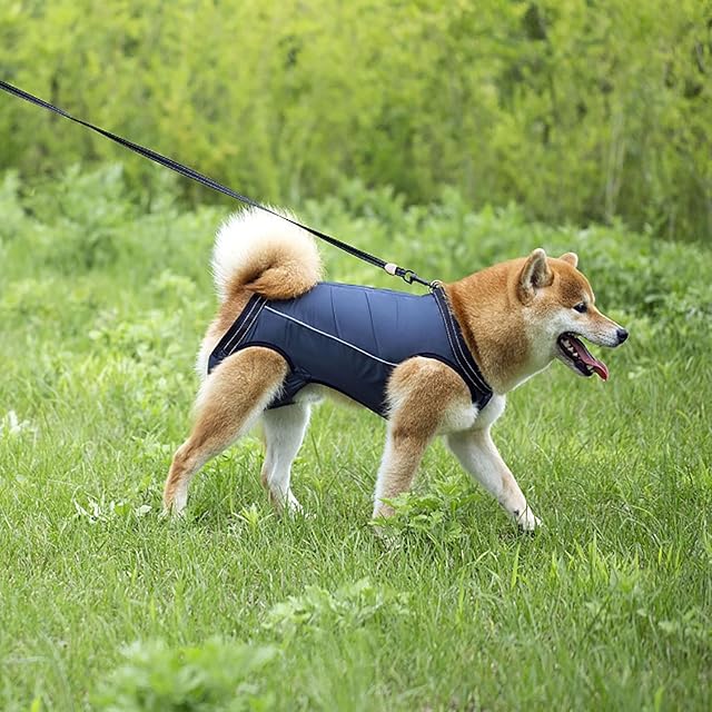 Foto 5 de 6 de IUOUTG Arnés de elevación para Perros Grandes, Soporte de Cuerpo Completo, Portador de Eslinga para Perros