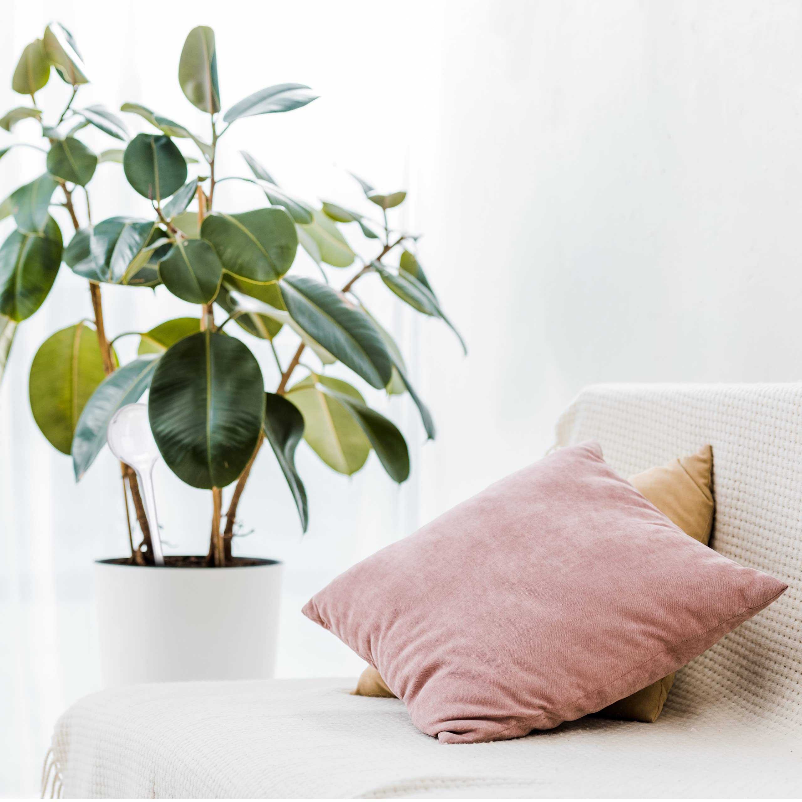 Lot De 2 Grandes Boules D'irrigation De 500 Ml - Système D'irrigation Pour Plantes D'intérieur - Système D'irrigation Pour Plantes En Pot - Réservoir D'eau - Plastique - Décoration De Vacances