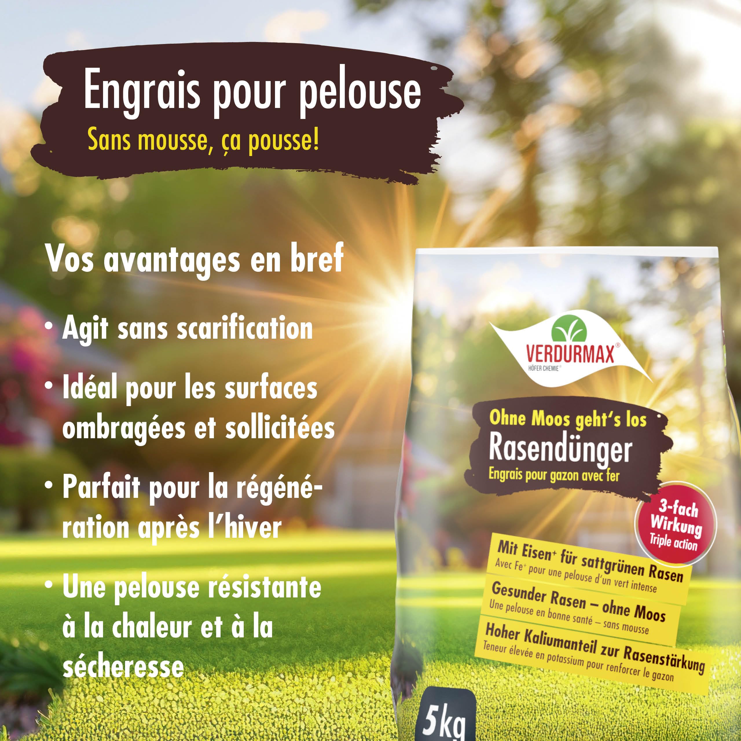 VERDURMAX Engrais Pelouse au Fer 1 x 5 kg – Action Anti-Mousse Rapide & Revitalisante – Gazon Vert Profond et Robuste – Riche en Azote, Potassium et 9% de Fer – pour 165 m² environ
