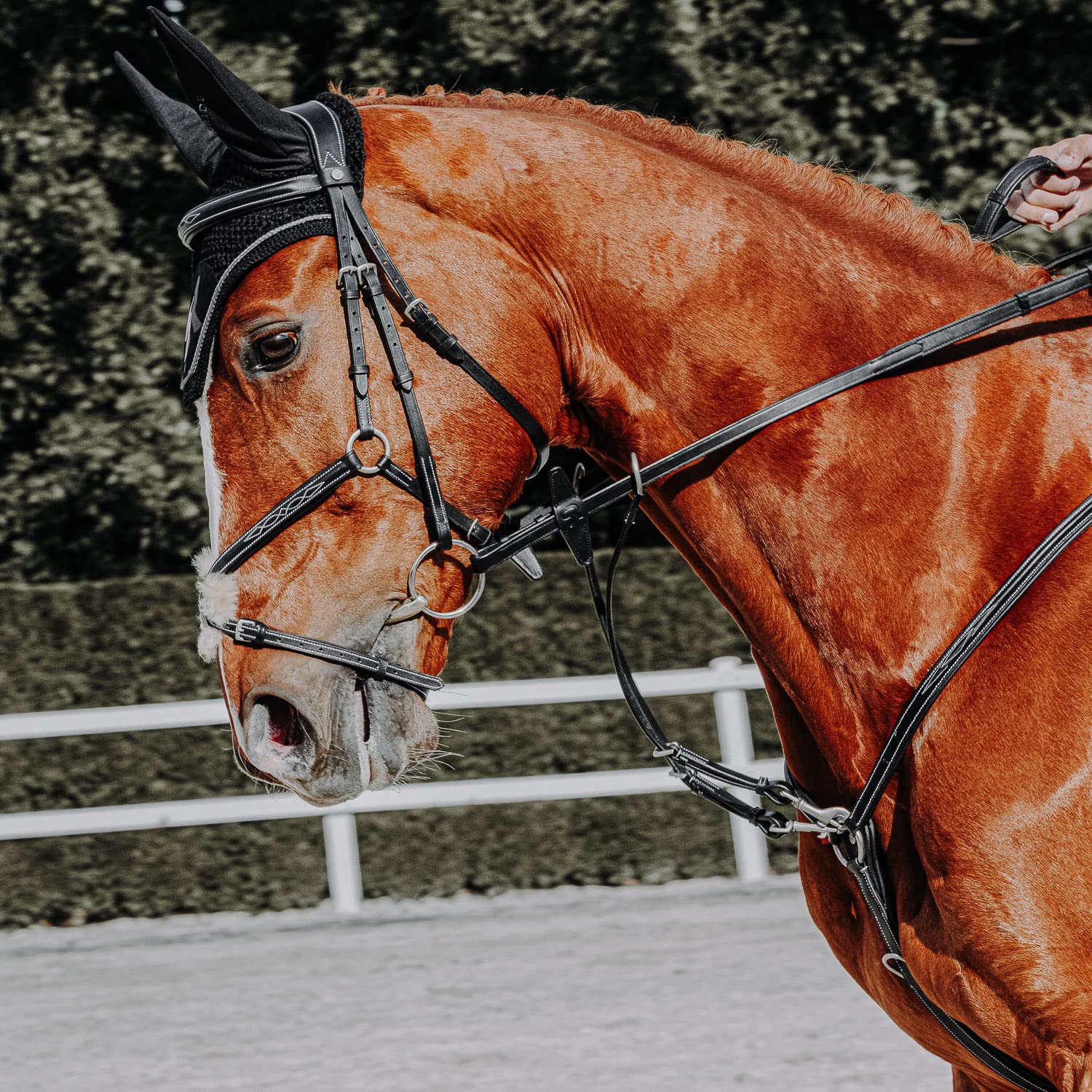 Sunride teilbare Gummizügel mit Stegen für Pferde, aus weichem Echtleder und griffigem Gummi (Pony 255 cm, schwarz)