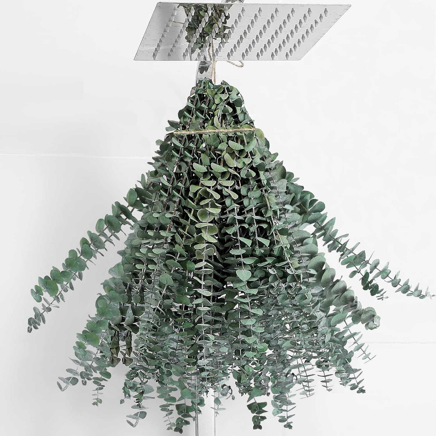 20 Pcs Eucalyptus for Shower Hanging Dried Eucalyptus Stems