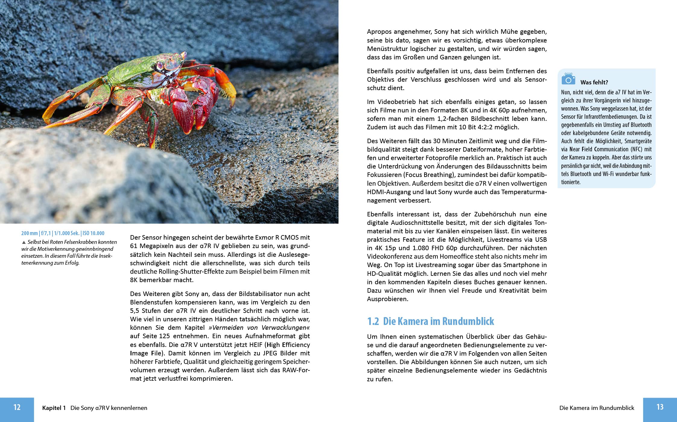 Sony A7R V: Das umfangreiche Praxisbuch zu Ihrer Sony alpha 7R V Kamera! Know-how und Expertentipps für erstklassige Bilder - so beherrschen Sie Ihre Profi-Kamera!