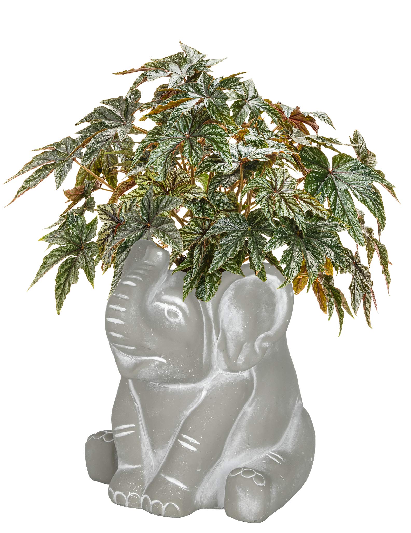 Classic Home and Garden Cement Buddies Pot de Fleurs d'intérieur/extérieur avec Trou de Drainage Éléphant Taille S (16,5 cm) Gris Naturel
