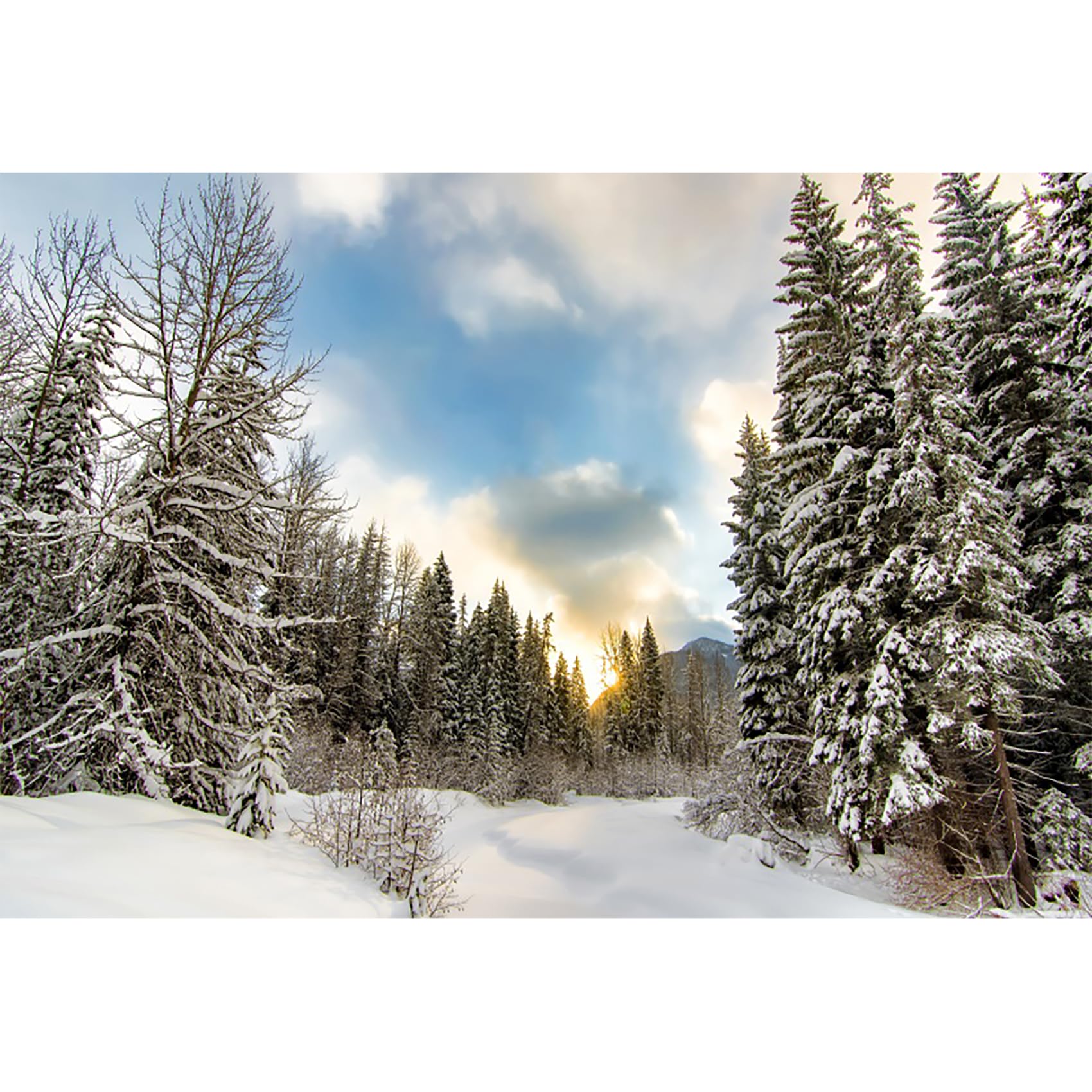 3x2m Nieve Invierno Fotografía Fondo Pinos Bosque Mundo Maravilloso Fondo por Recién Nacido Baby Shower Navidad Año Nuevo Partido Decoración Bandera Retrato Foto Puesto Accesorios, Vinilo