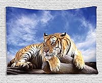 Vista 71 de Ambesonne Tapiz de isla tropical, olas del océano en la playa de Seychelles al atardecer horizonte, decoración de tela para colgar en la pared