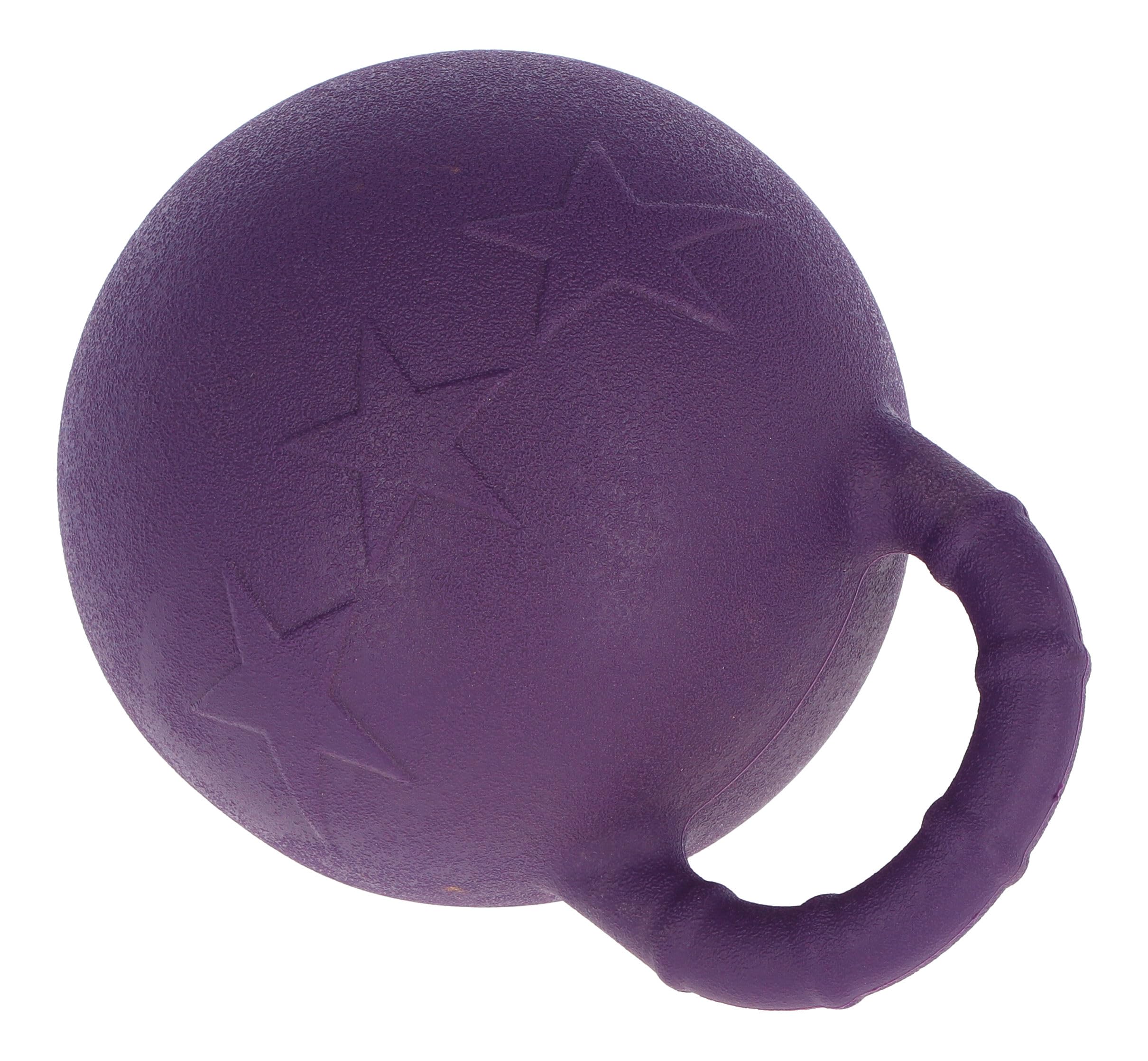 Kerbl Caballo Jugando a la Pelota, Sabor Menta, Morada, 25 cm, Resistente a mordidas, con válvula Especial