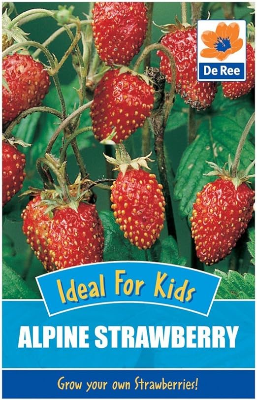 Alpine Strawberry Seeds Amazon.co.uk Garden