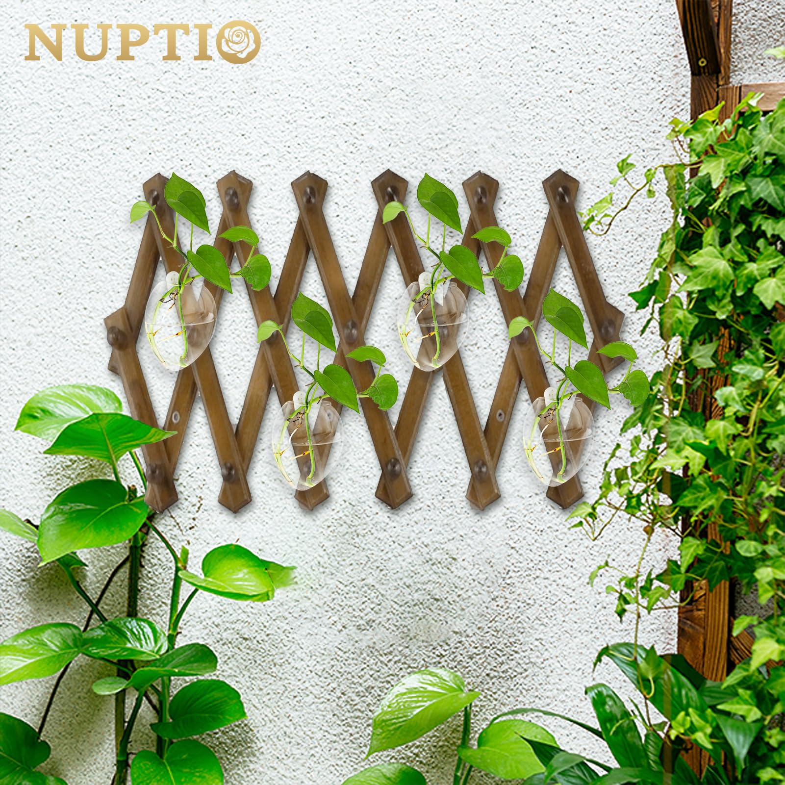 12 Pièces Murales Suspendues Planteurs de Verre Pot - Eau Plantation Vases Air Fleur Vase Plante Terrariums Conteneur de Plantes