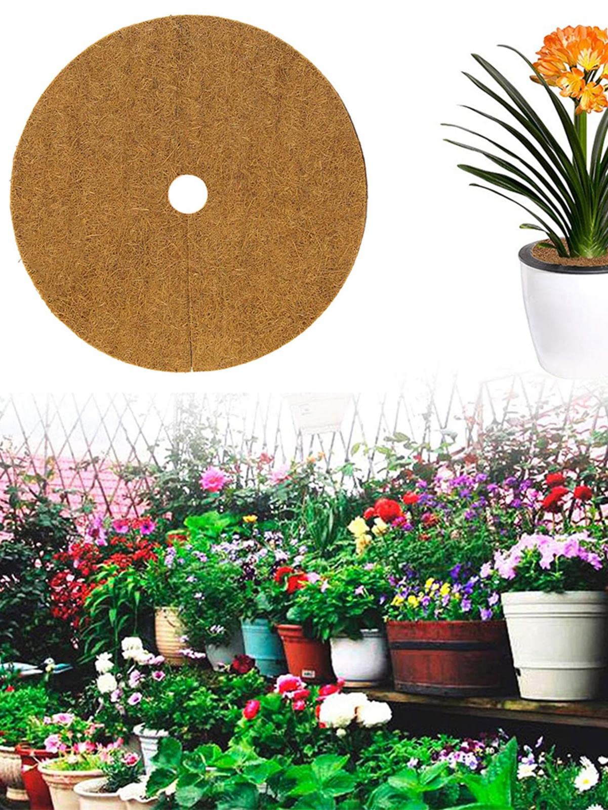 Kokosfaser-Mulchscheiben, 30 Cm – 3 Stück, Natürlicher Pflanzenschutz, Unkrauthemmung, Für Töpfe & Beete