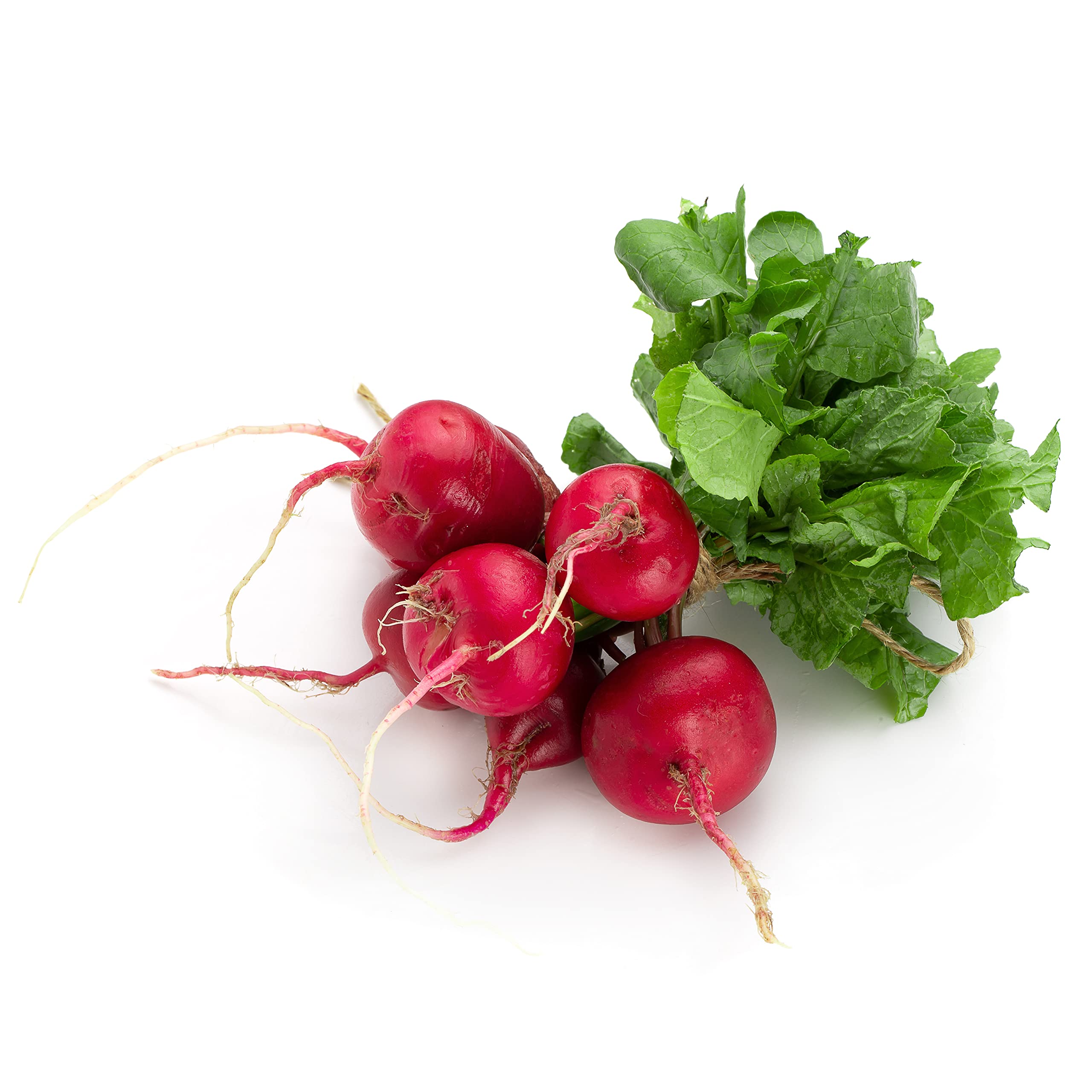 Radish Seeds, 500+ Cherry Belle, Heirloom, Non-GMO Seeds, Raphanus sativus.