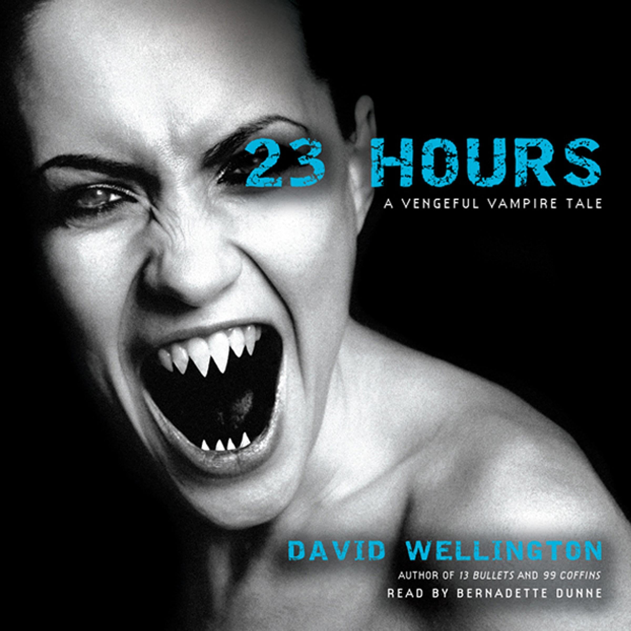 Cover art for 23 Hours