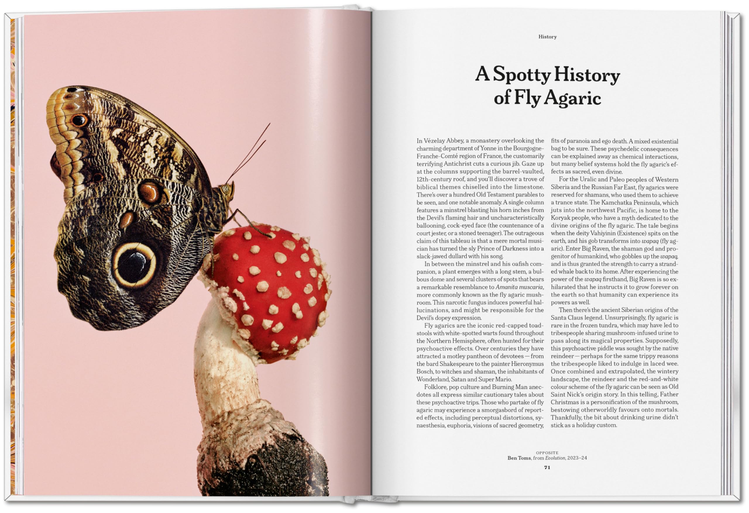 The Gourmand's Mushroom: A Collection of Stories and Recipes