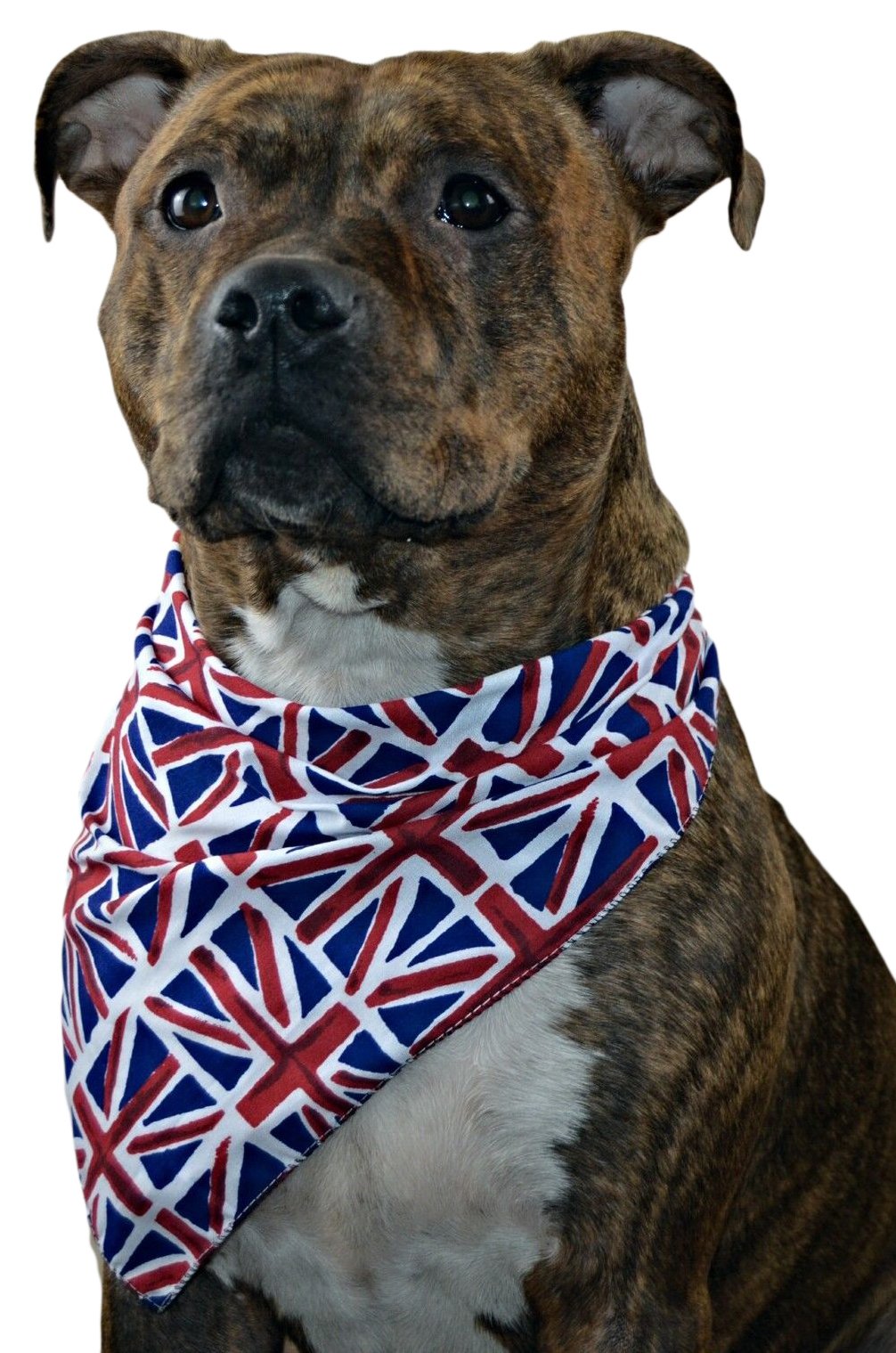 Pet Pooch Boutique Union Jack Bandana for Dog, X-Small/Small
