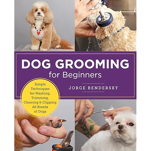 Dog Grooming Techniques for Beginners