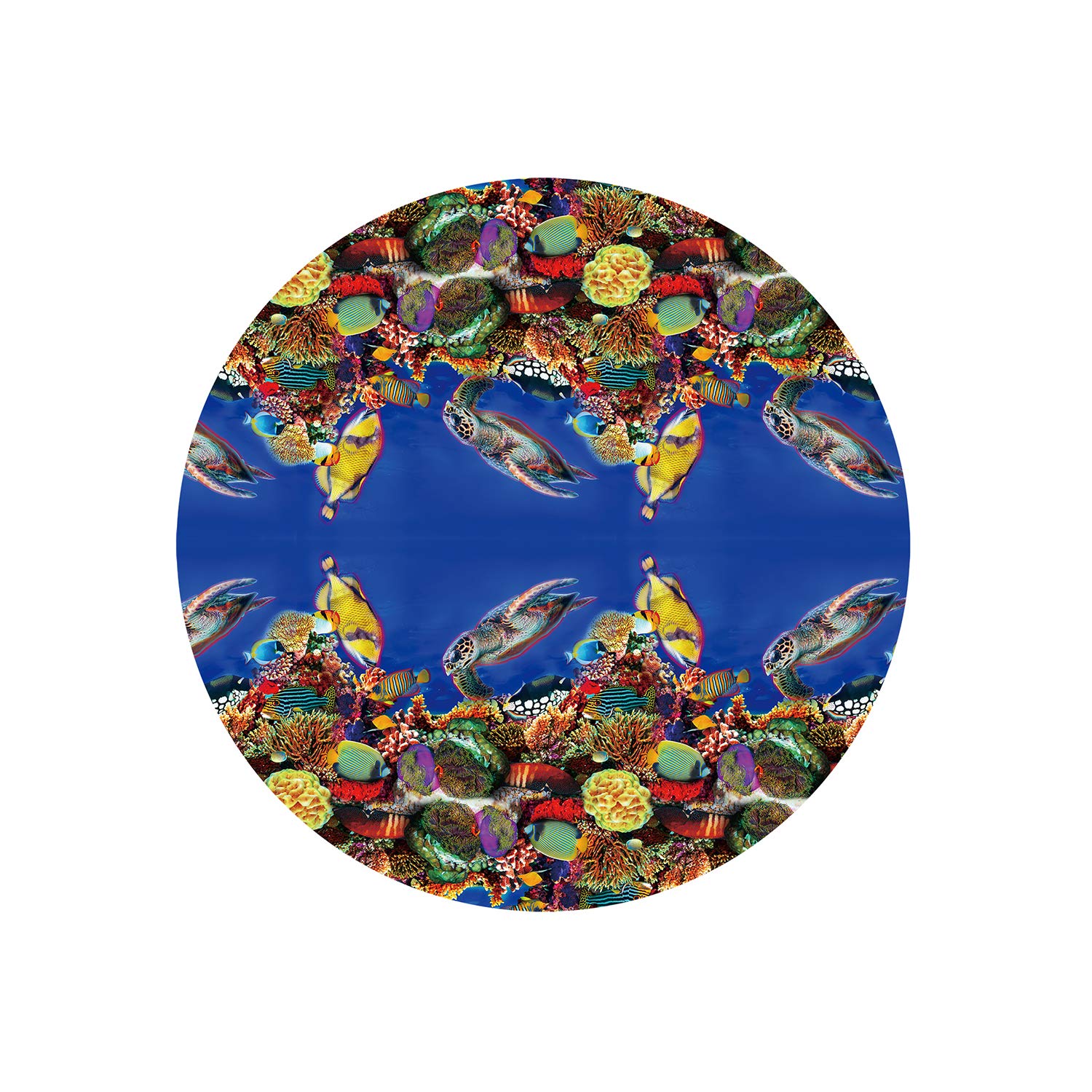 【極美品】Niveum ‎– Dream Pool 極美品】Niveum ‎– Dream Pool