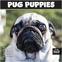 Vista 14 de MICASA PRESS Corgi Butts - Calendario de pared 2026 de 12 meses 12 x 24 pulgadas abierto Papel grueso y resistente Regalo de vacaciones