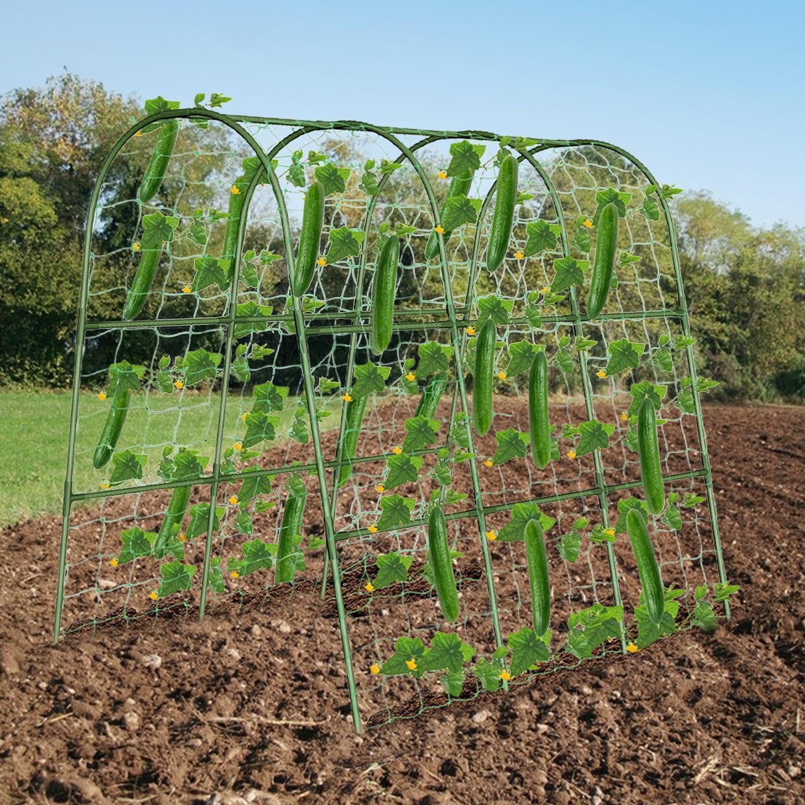 Enrejado Para Pepinos En Cama Elevada U Plantas Trepadoras | Enrejado Para Hortalizas De Elevado Guisantes, Tomates, Calabazas, Berenjenas, Cultivo En Invernadero Y Agricultura En