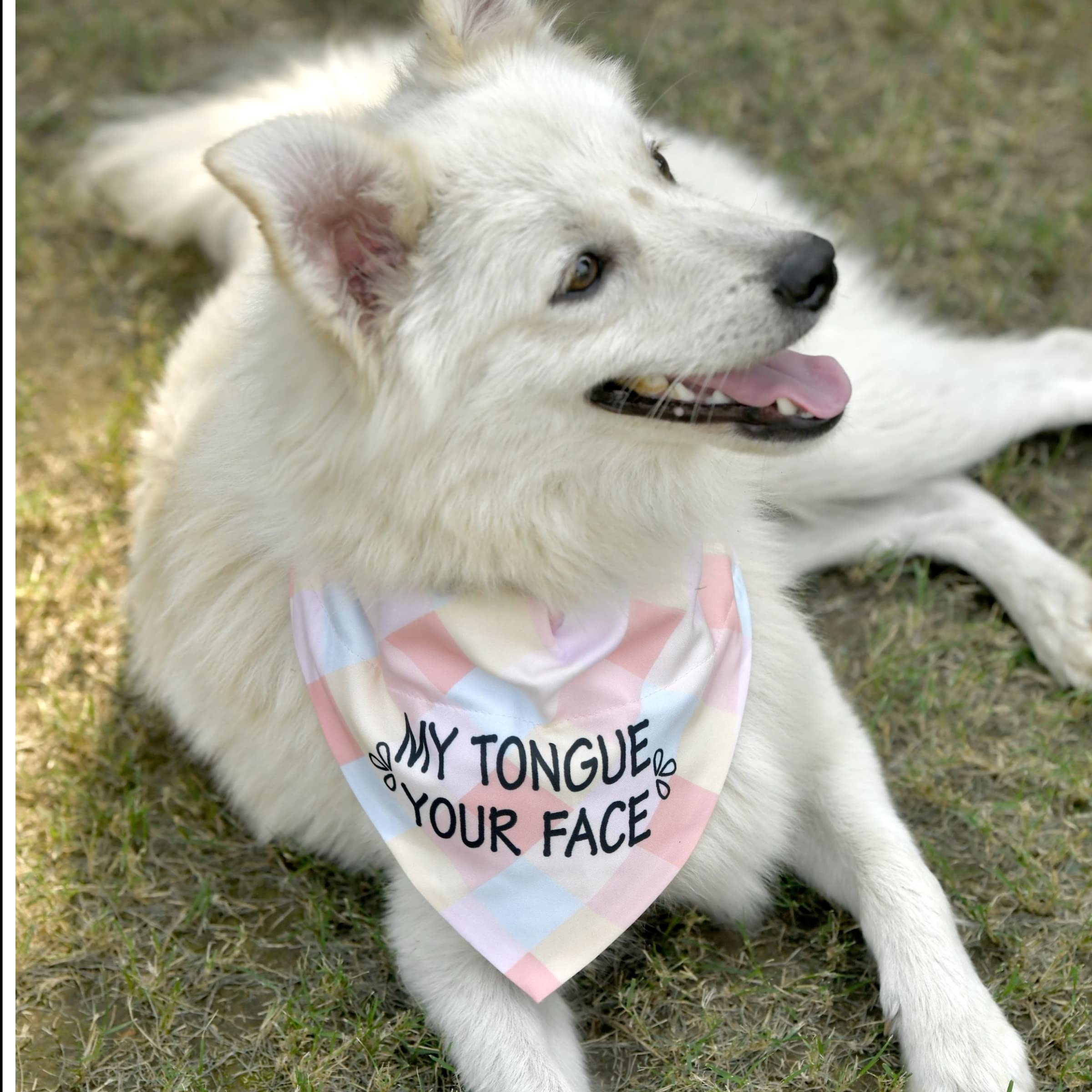 GROOMSOME My Tongue Your Face Dog V-Bandana/Dog Scarf (Size: Medium) Pink Pack of 1 (B09L58V121) Amazon Price History, Amazon Price Tracker